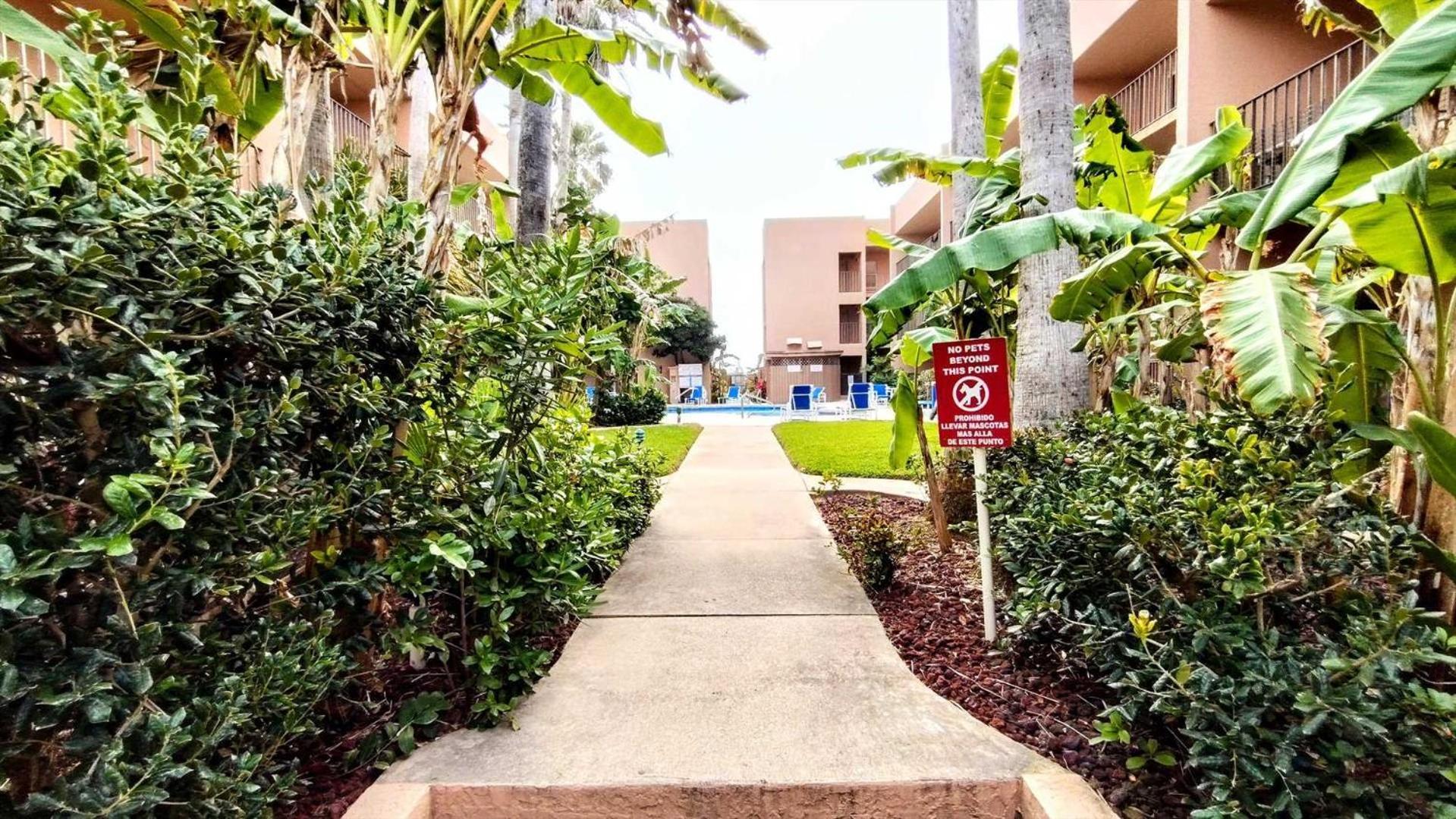Beachview 110 Condo South Padre Island Extérieur photo